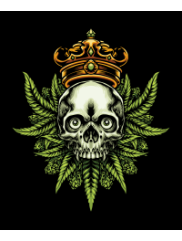 Streetwear Rusti – Pack de vectores urbanos